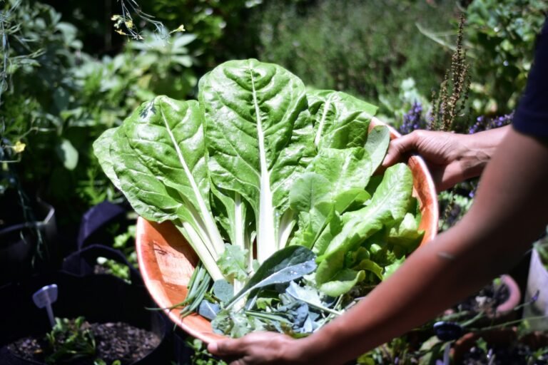 27 WAYS TO REDUCE FOOD WASTE & BUILD SUSTAINABLE HABITS - GO GREEN GO SMART