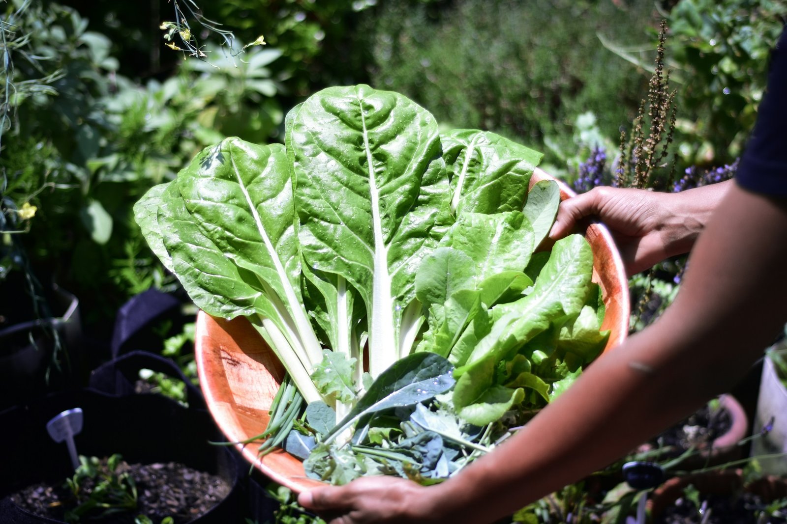 27 WAYS TO REDUCE FOOD WASTE & BUILD SUSTAINABLE HABITS - GO GREEN GO SMART